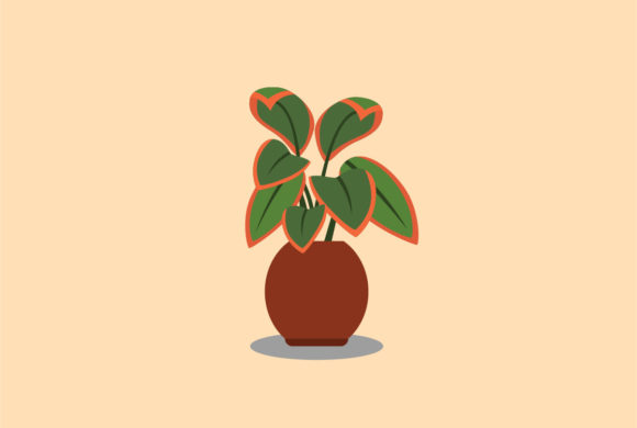 Aglaonema Decorative Plants Vector: A Designer's Asset