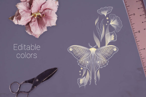 Butterfly Decorative Elements: Elevate Your Design Projects