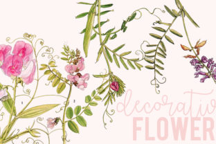 Timeless Botanical Art: The Decorative Flowers Set